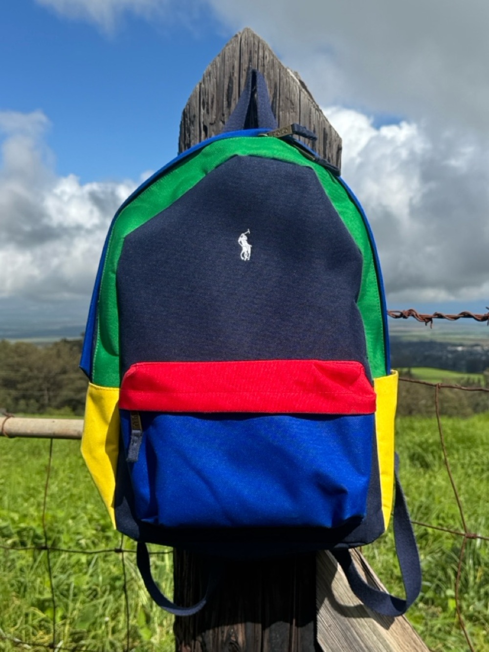 Polo Ralph Lauren Colorblock Multi-Color Backpack Bag Preppy 9AR151-E69